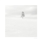 dailyPhoto38